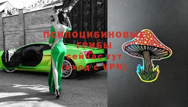 ECSTASY Армянск