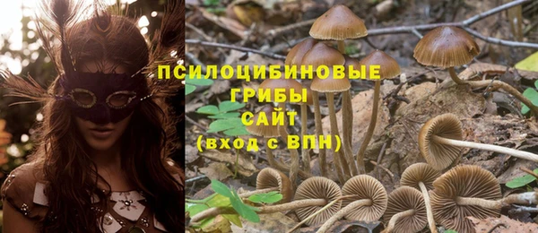 ECSTASY Армянск