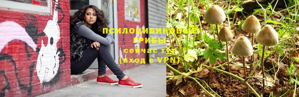 индика Алексин