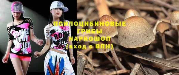ECSTASY Армянск