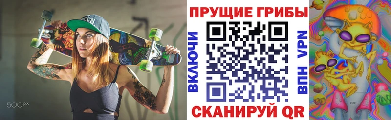 Купить  Славянск-на-Кубани  Галлюциногенные грибы MAGIC MUSHROOMS 